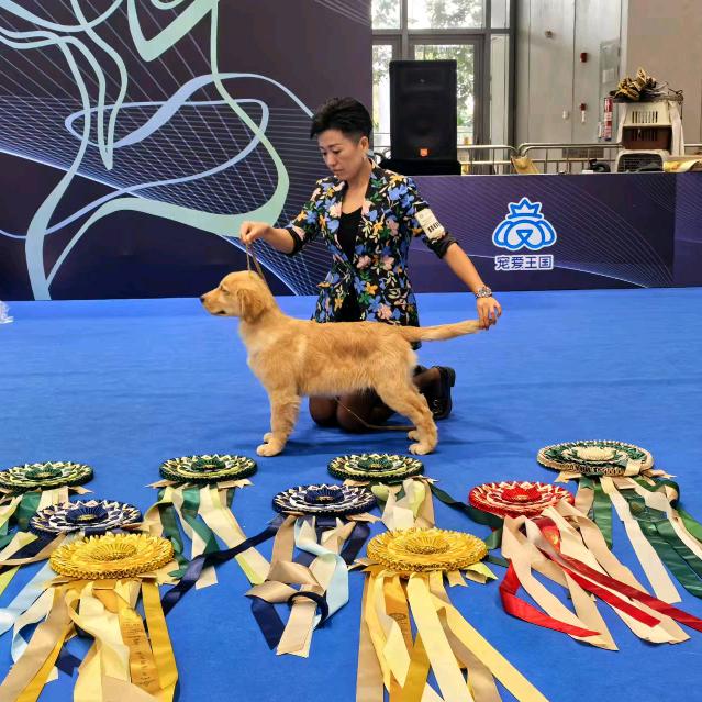 蓝月犬舍