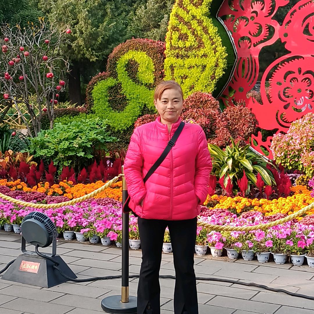 菊花（拒私聊）