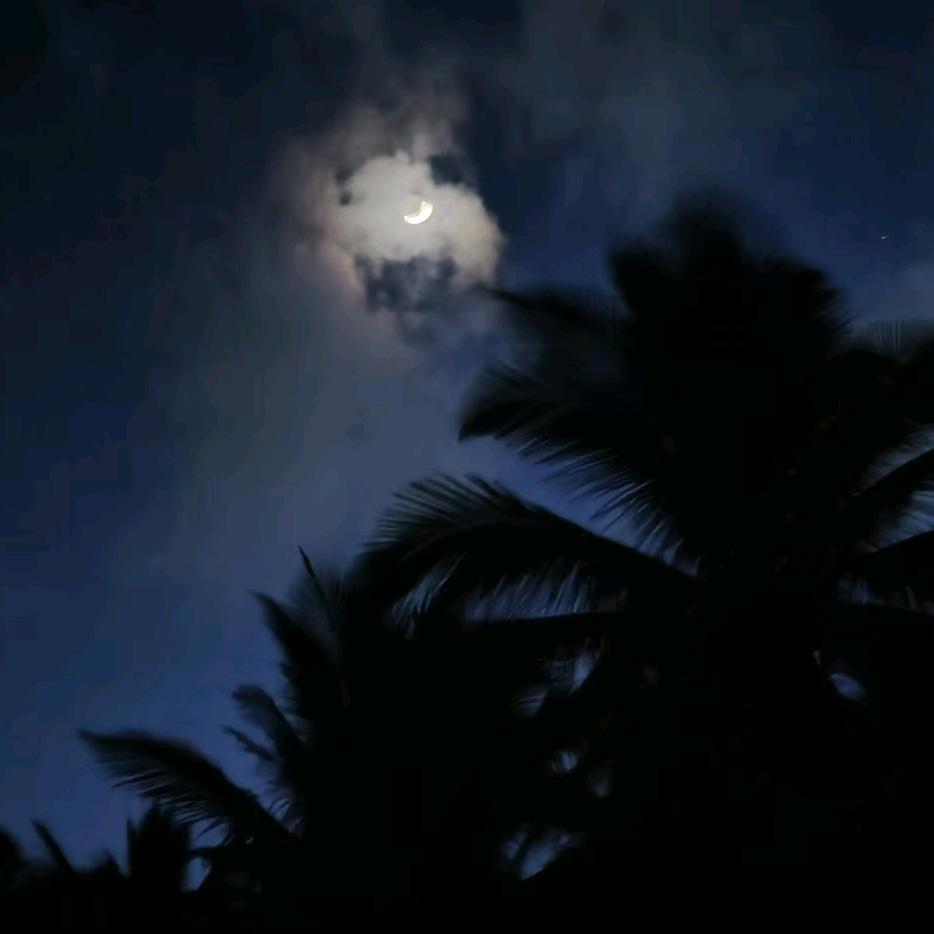 九亿少女的美梦