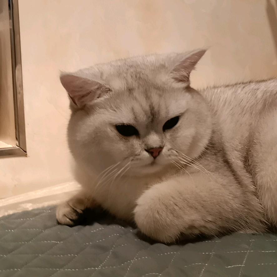 用户3382010778581半生已过