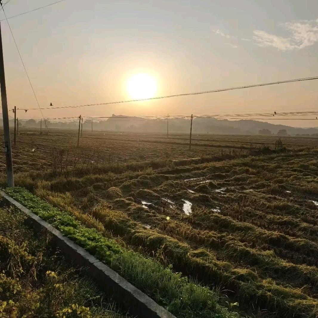 平淡无奇