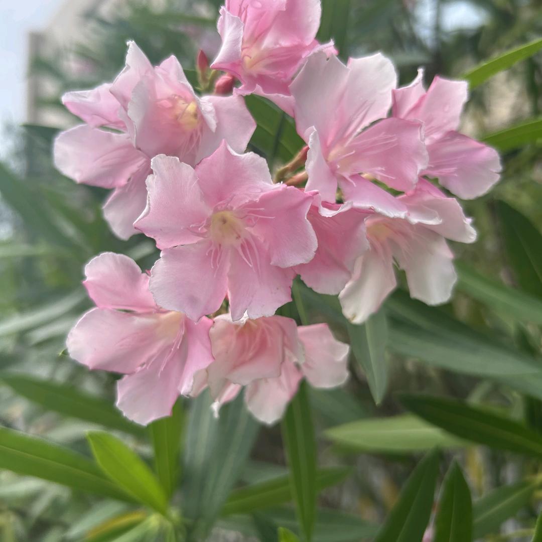 晴天你好