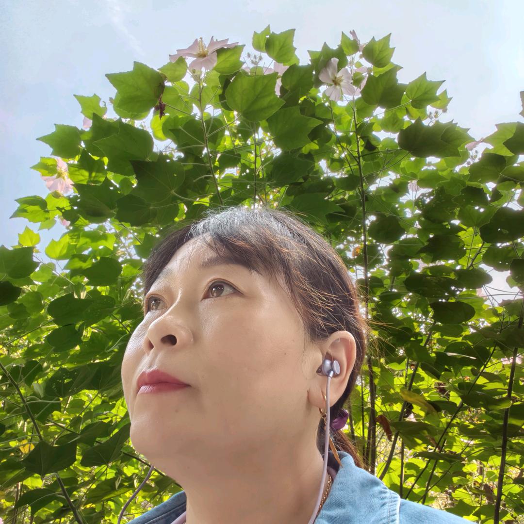 一定要开心.拒绝聊天