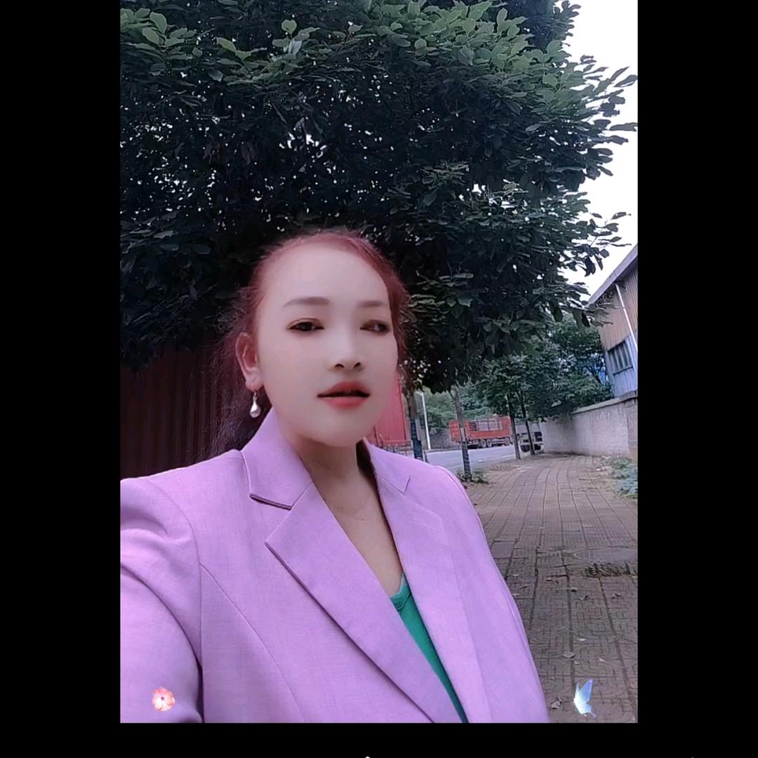 菊花香