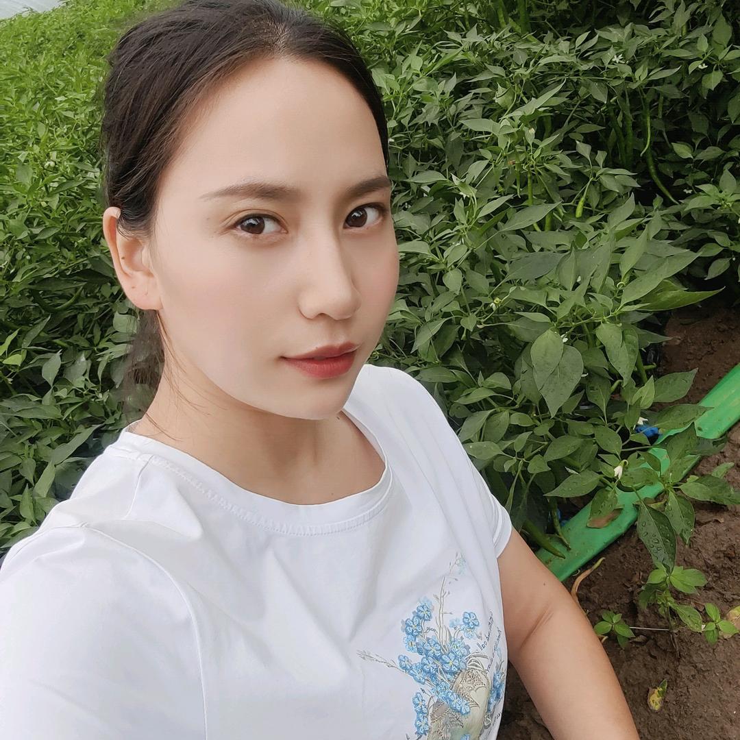 皖北小菜园