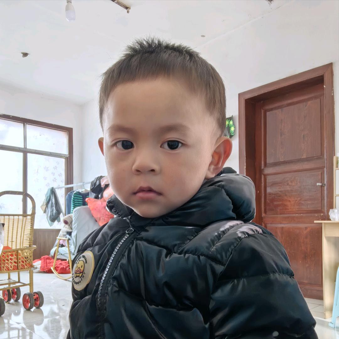 杨先生的日常生活