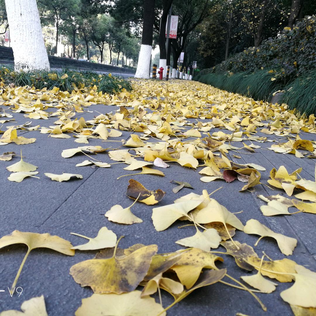 陌生人、