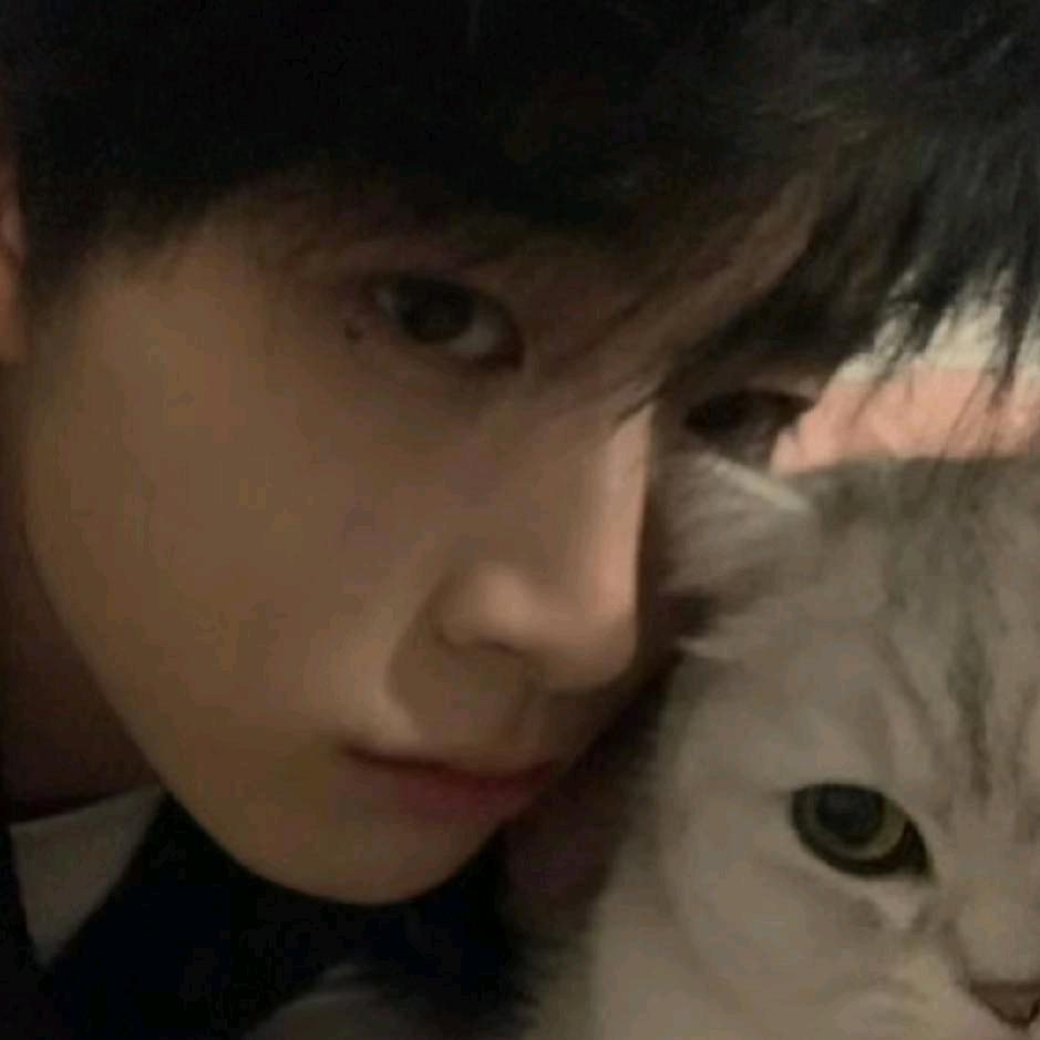 好困困困困困困