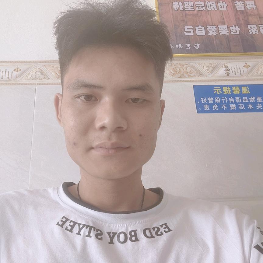 发呆的小绵羊