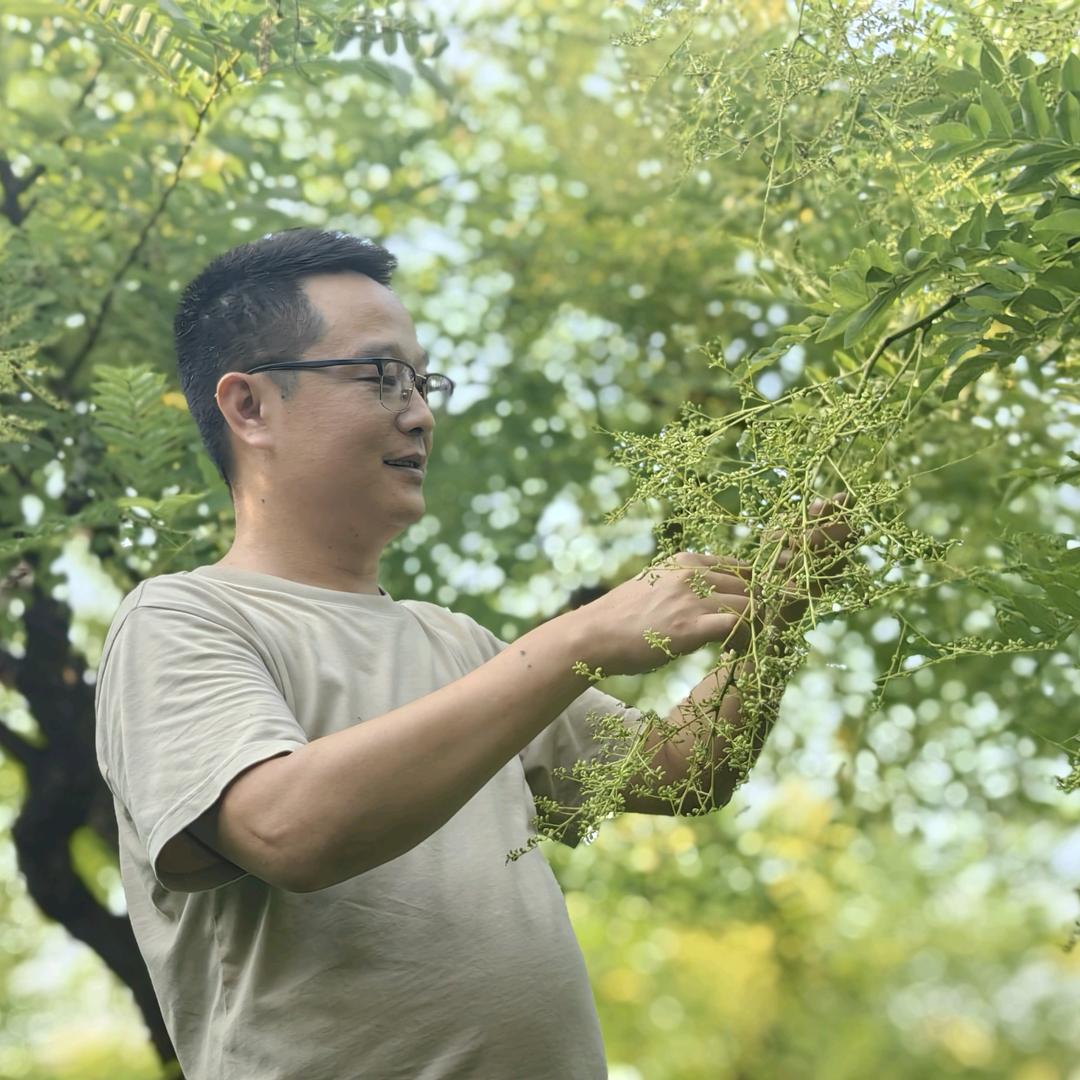 金槐世家直播号