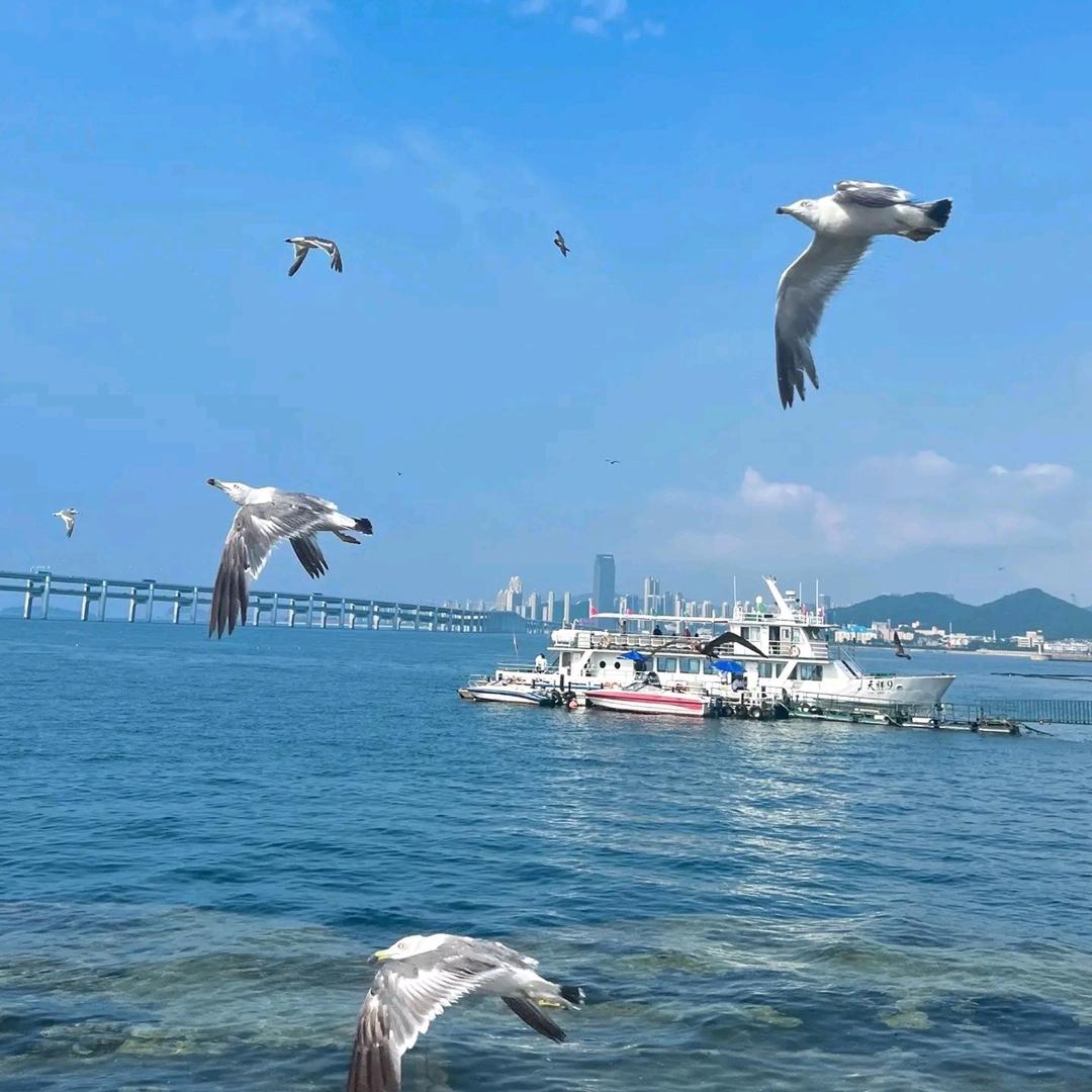 鸿长海鲜店