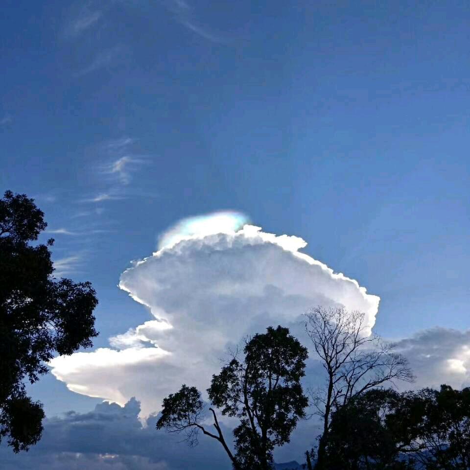 雁石镇大美大吉艺术团一一菊美