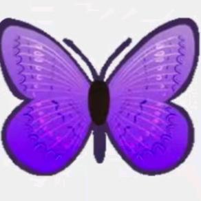 ꩵ࿌ོ࿆🦋蝴💖蝶ོ🦋ཹ࿐