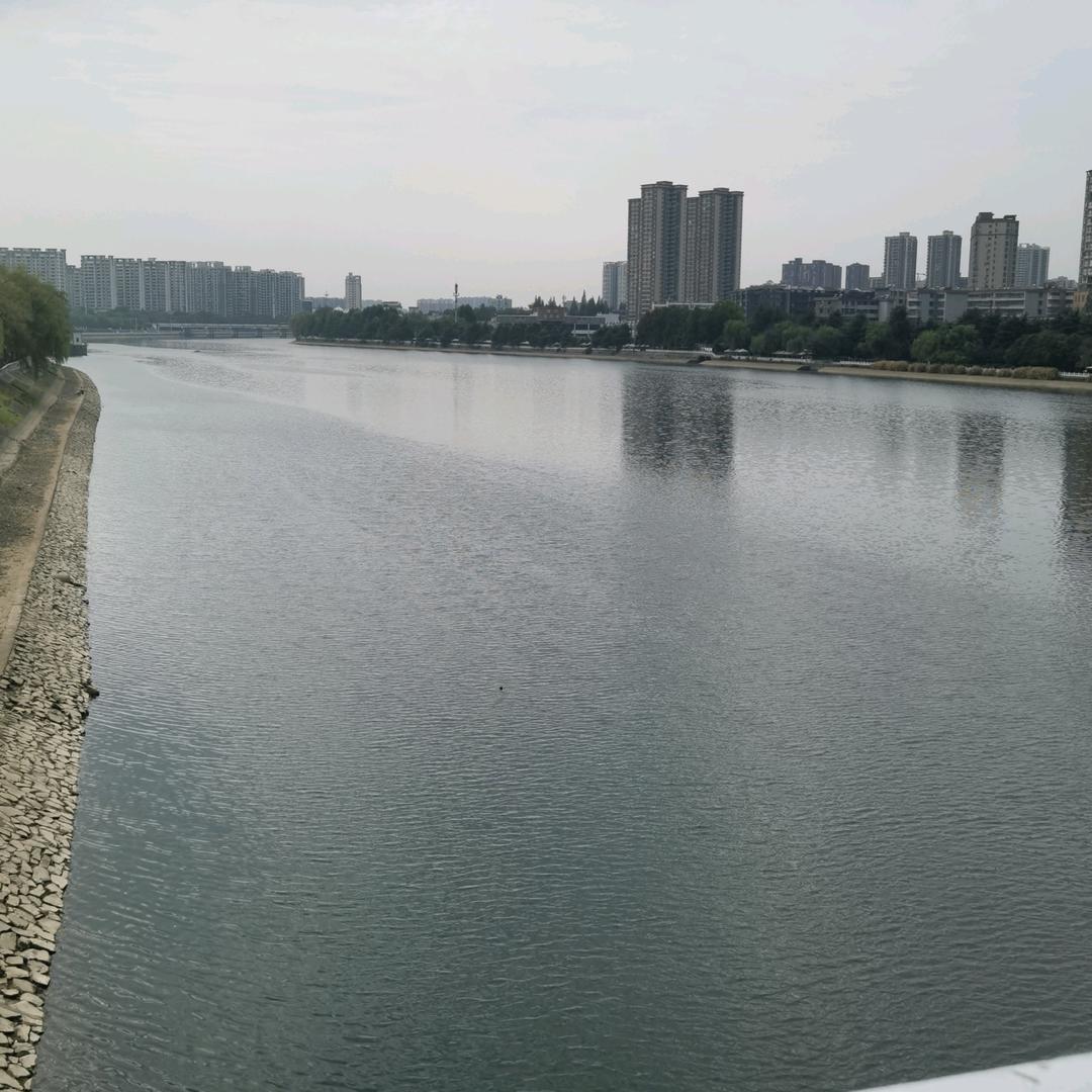 锦鴻