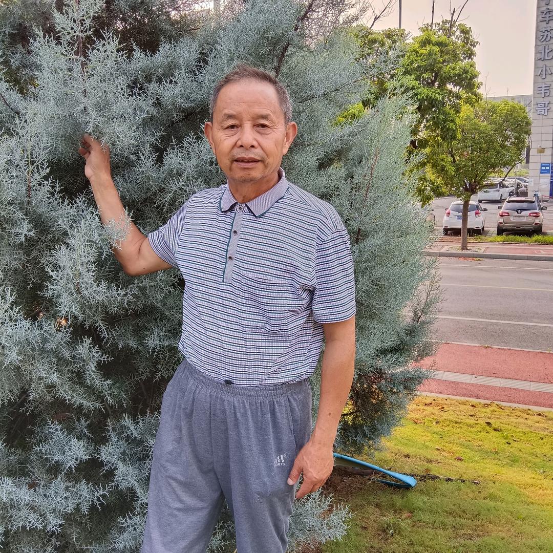 情都在