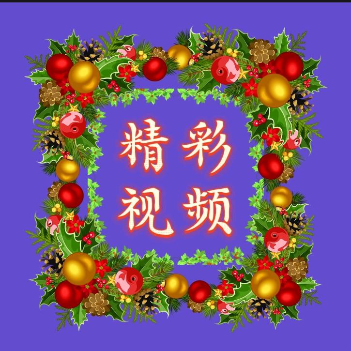 小鱼儿三宝