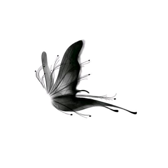 ㅤㅤㅤㅤ泉佬🦅ㅤㅤㅤㅤㅤㅤㅤㅤ