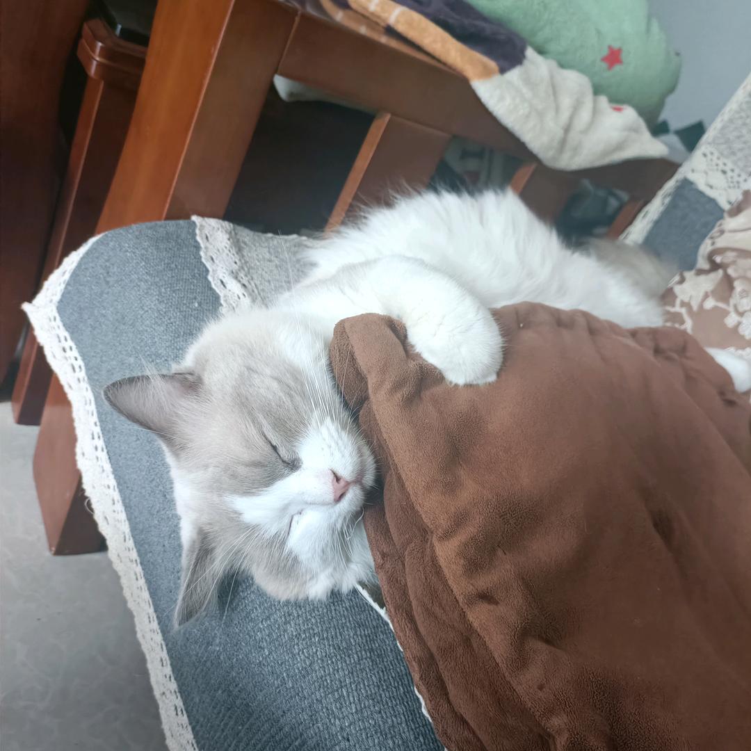 Zoffi