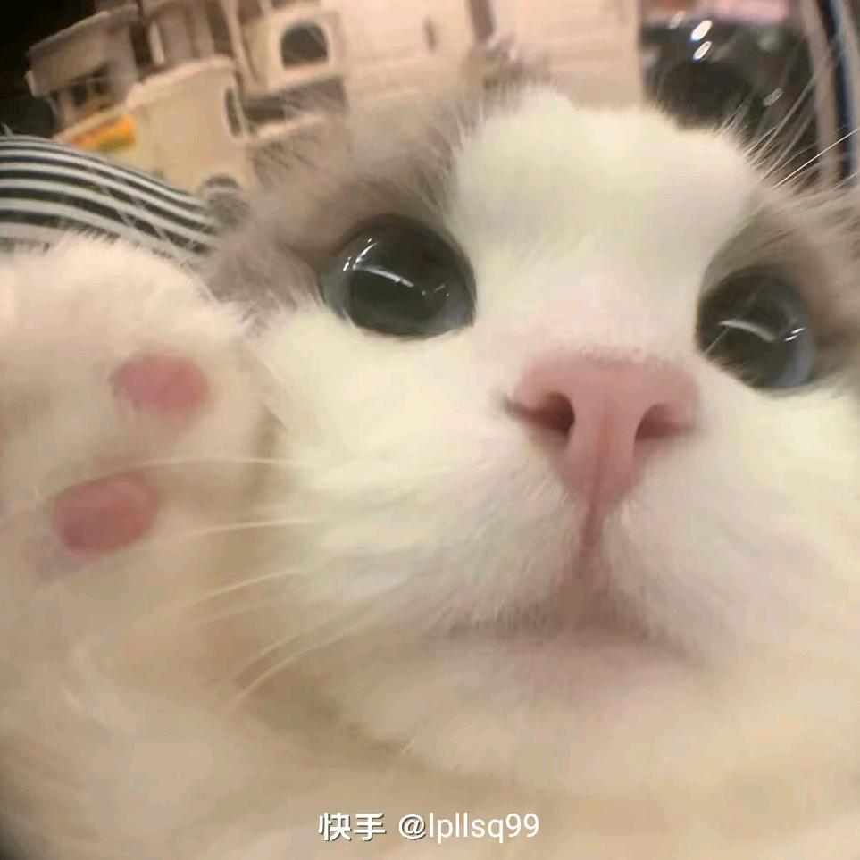 蓝天