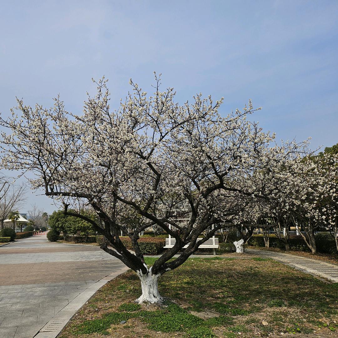 上次我们来