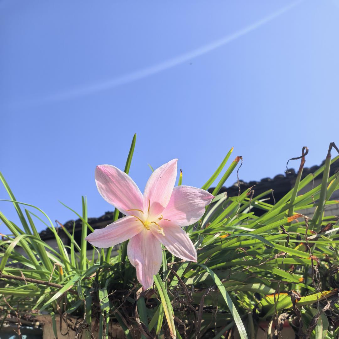 人间四月