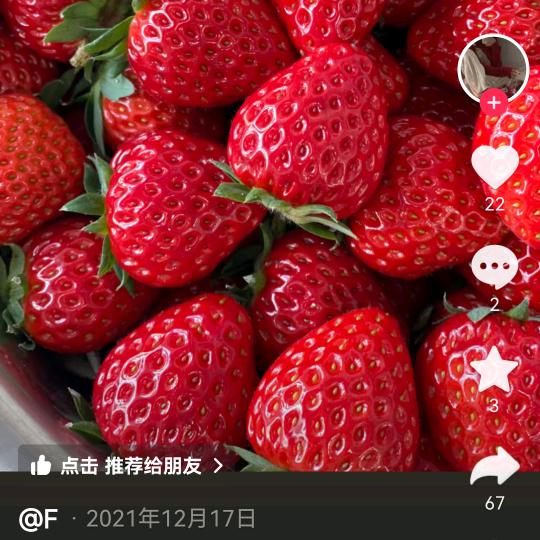 那伦🍓🍓🍓草莓采摘园