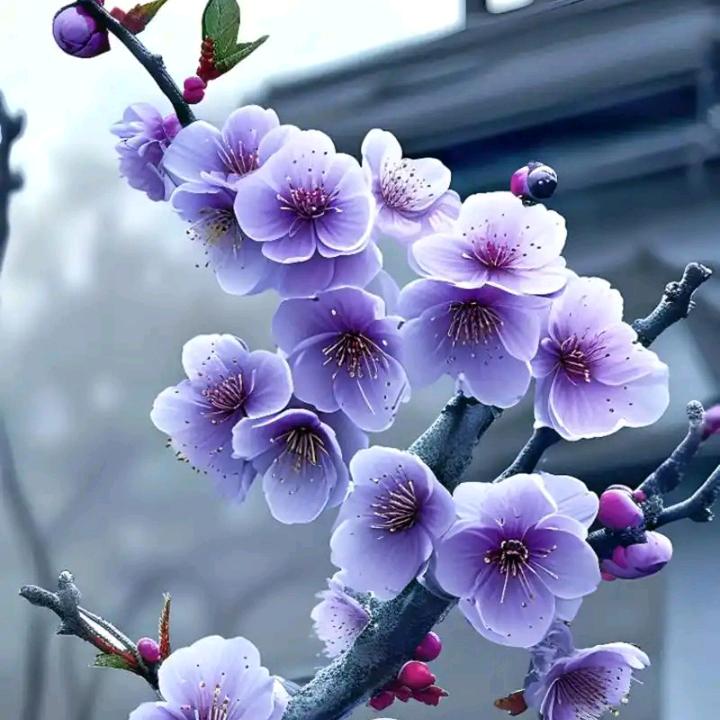 保真