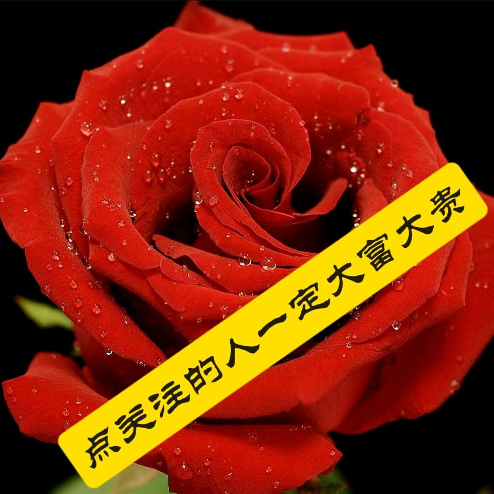 淡泊的零食