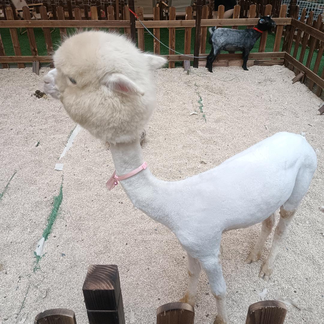 好一手努力改变生活