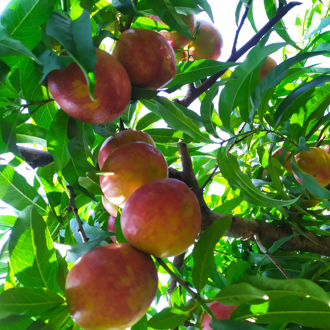 记录生活，记录回忆！