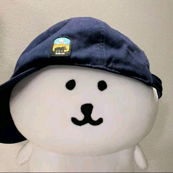 王ㅤsir