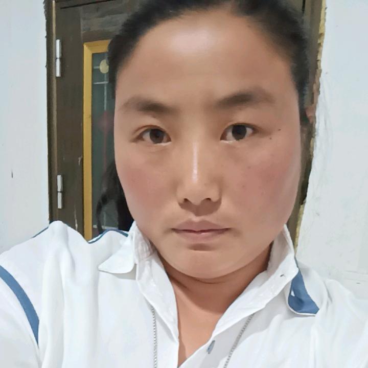 玫瑰送给有情人