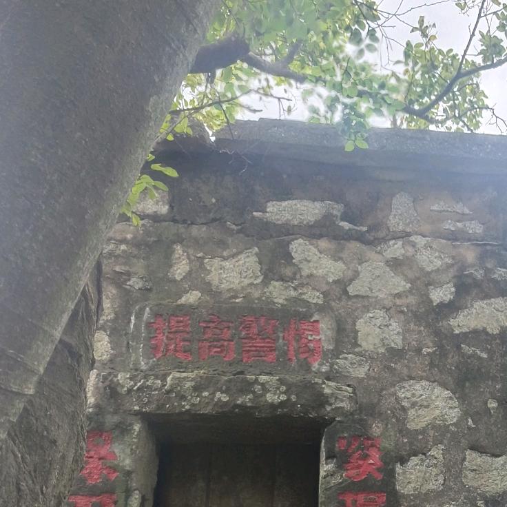 🍓🚪我是女王🌸🌸