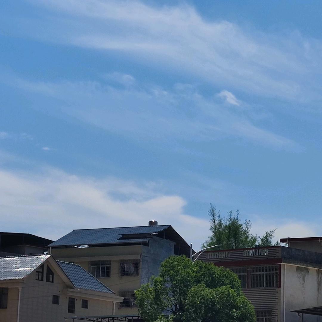 正在洗家电的小温
