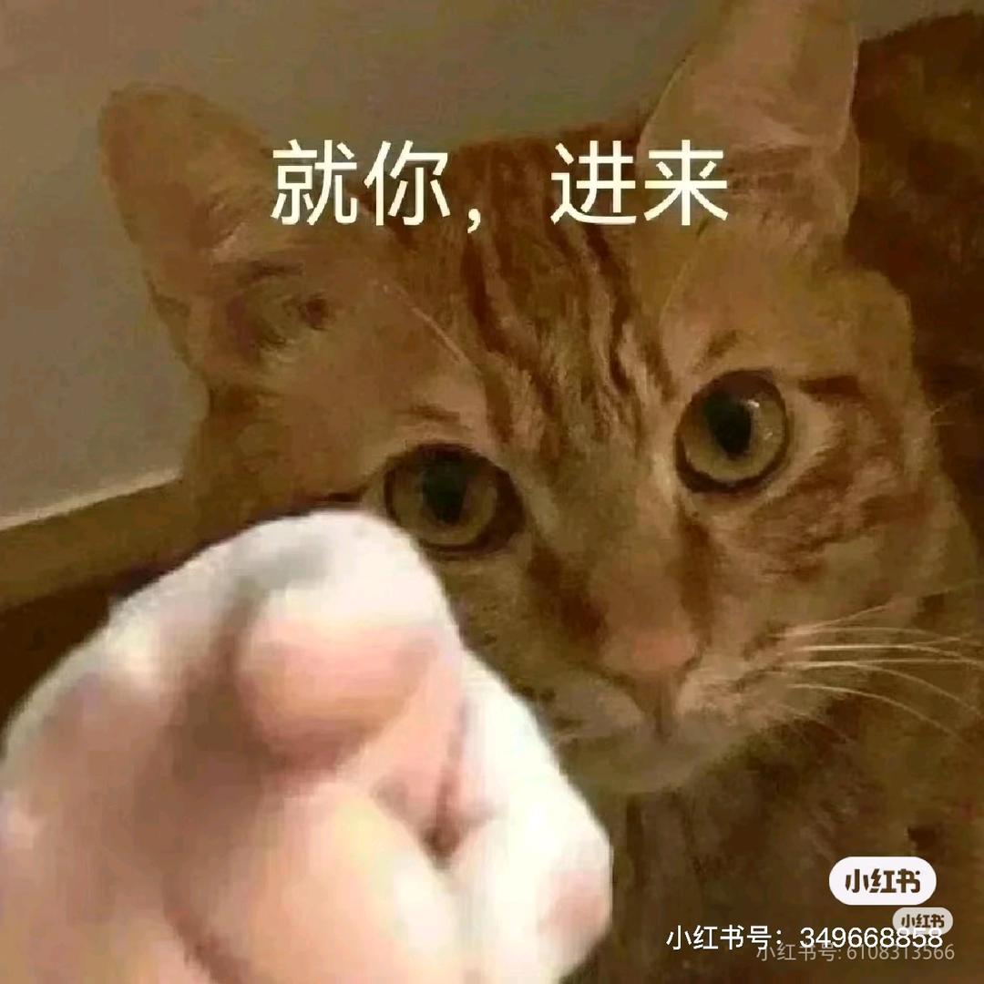 恍恍惚惚