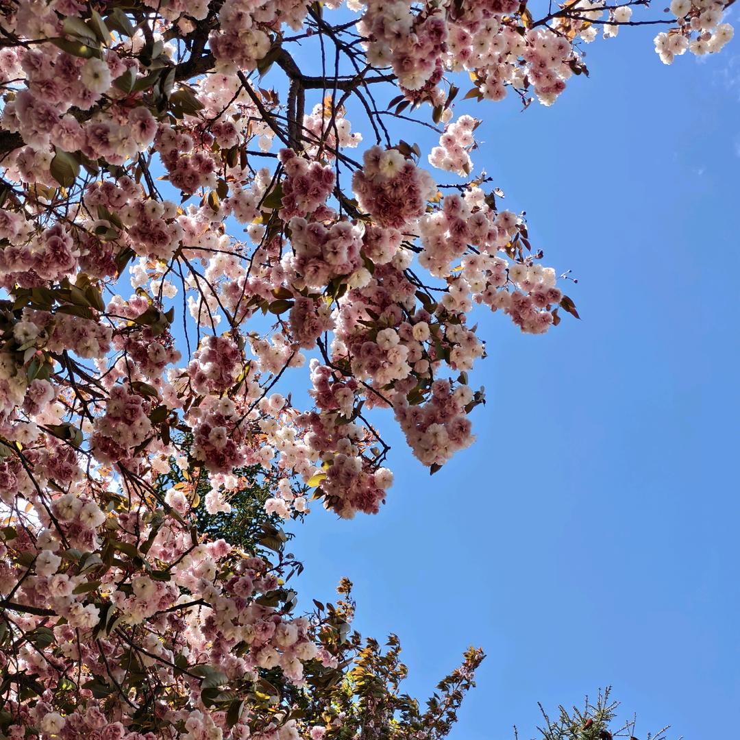 贫困户资产管理主理人