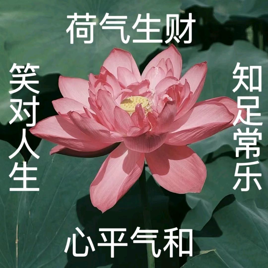 鄄城新能源 霞姐