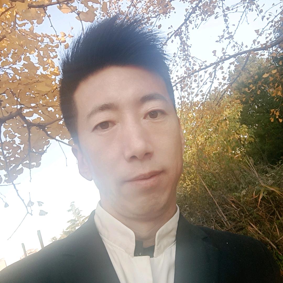 宋晨峰头像
