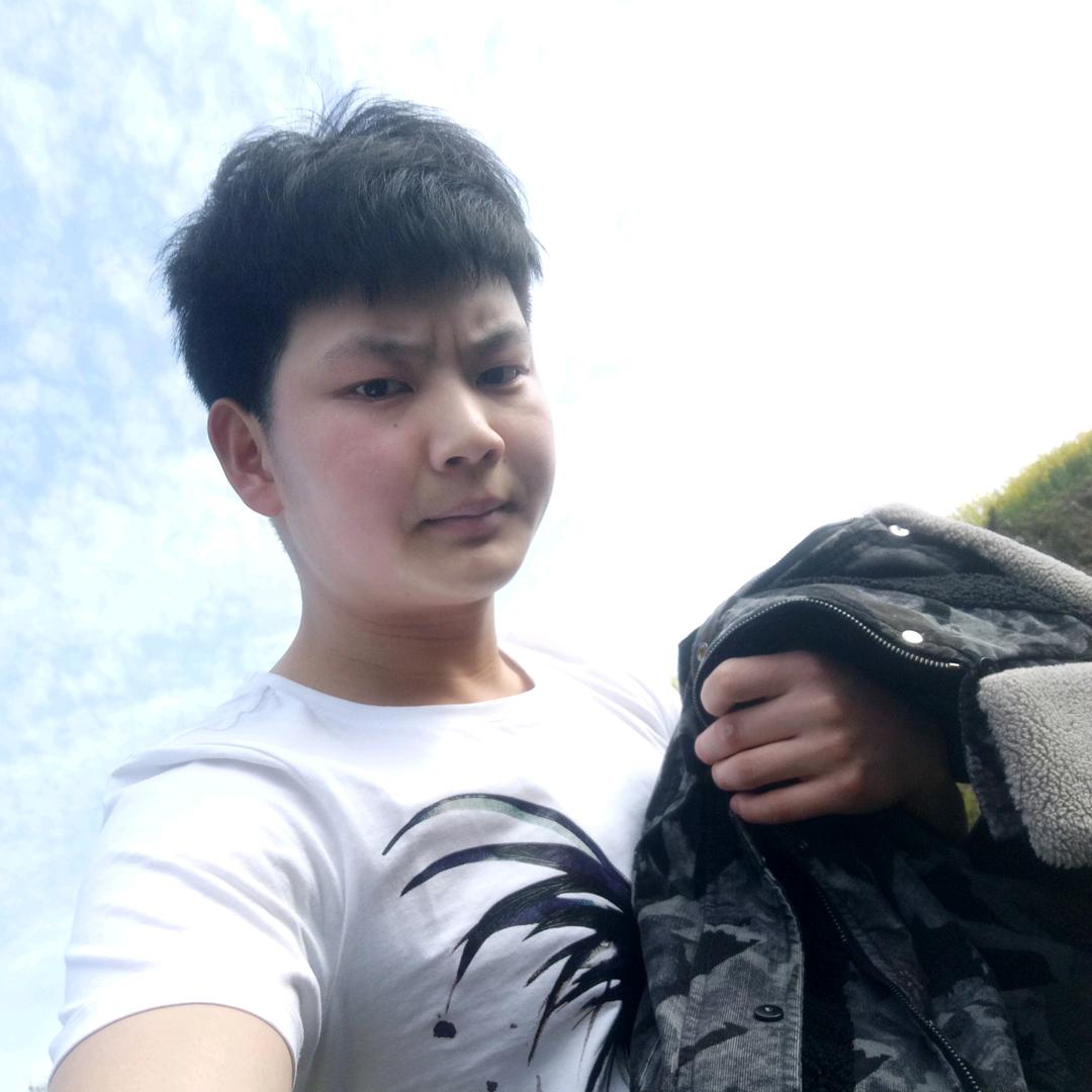 李氏金弹子素材兰花提供