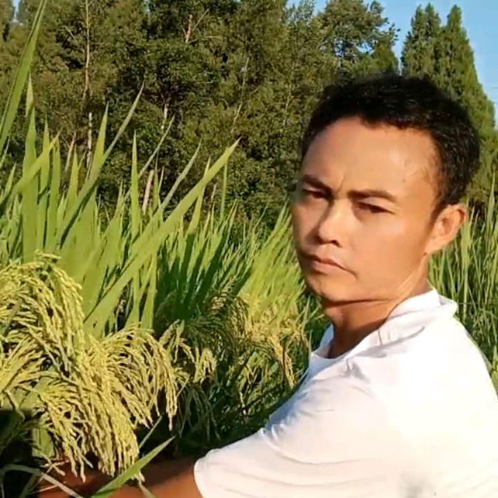 章华农资