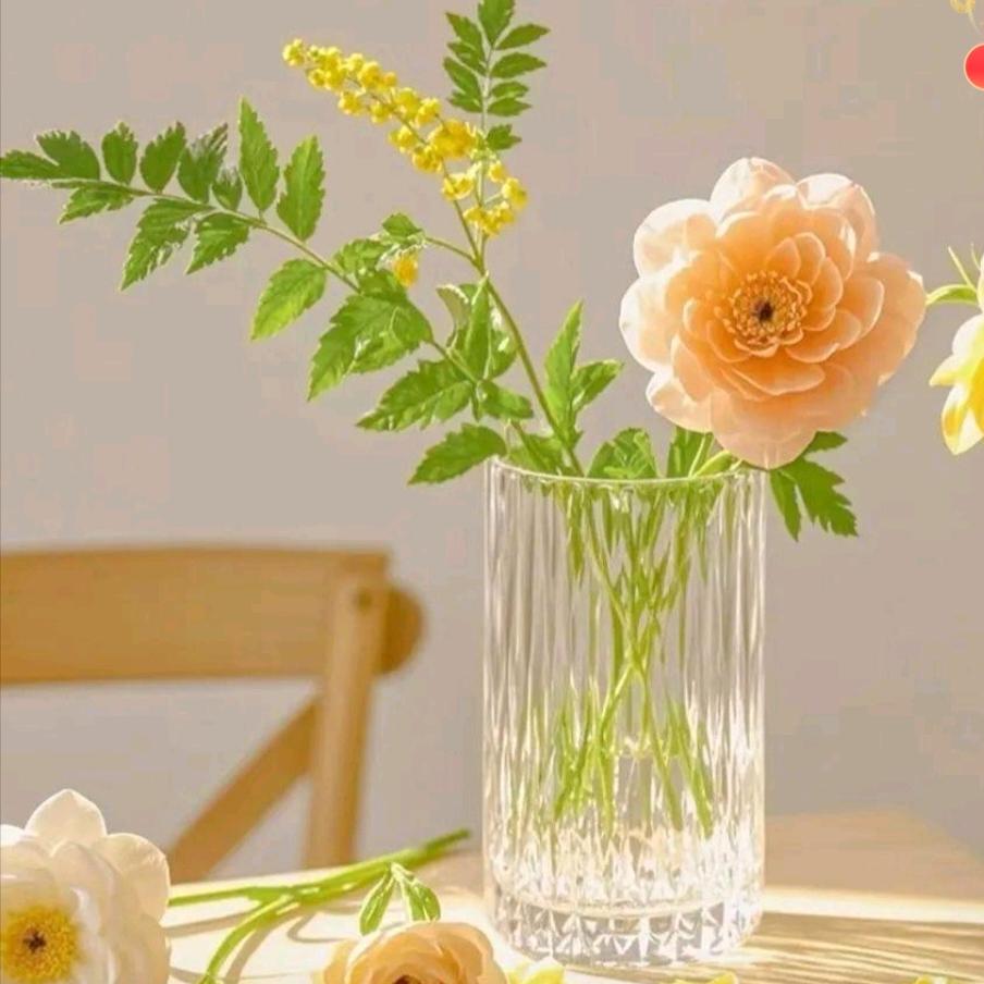 笑脸相迎 柿柿如意