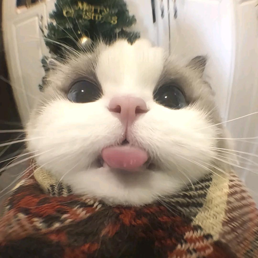 Yiiu7i