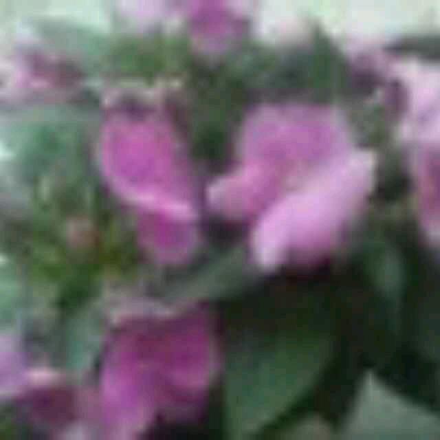 为你守候
