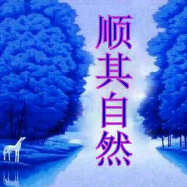 顺其自然🐯