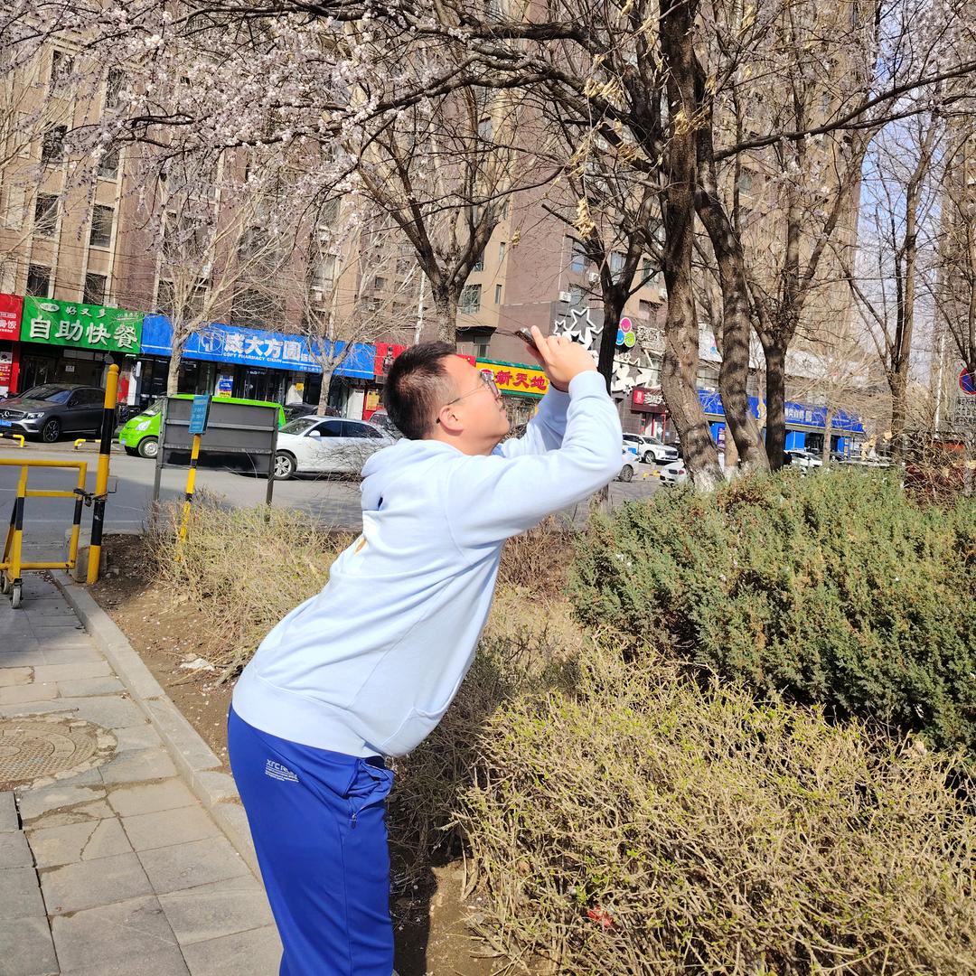 马丁的日常