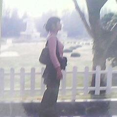 东方不败(农村散养土鸡)