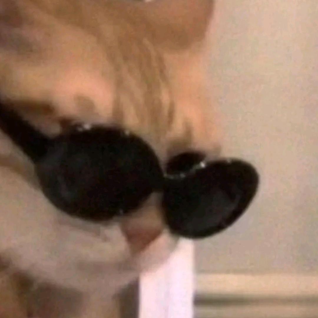 ZzzZt