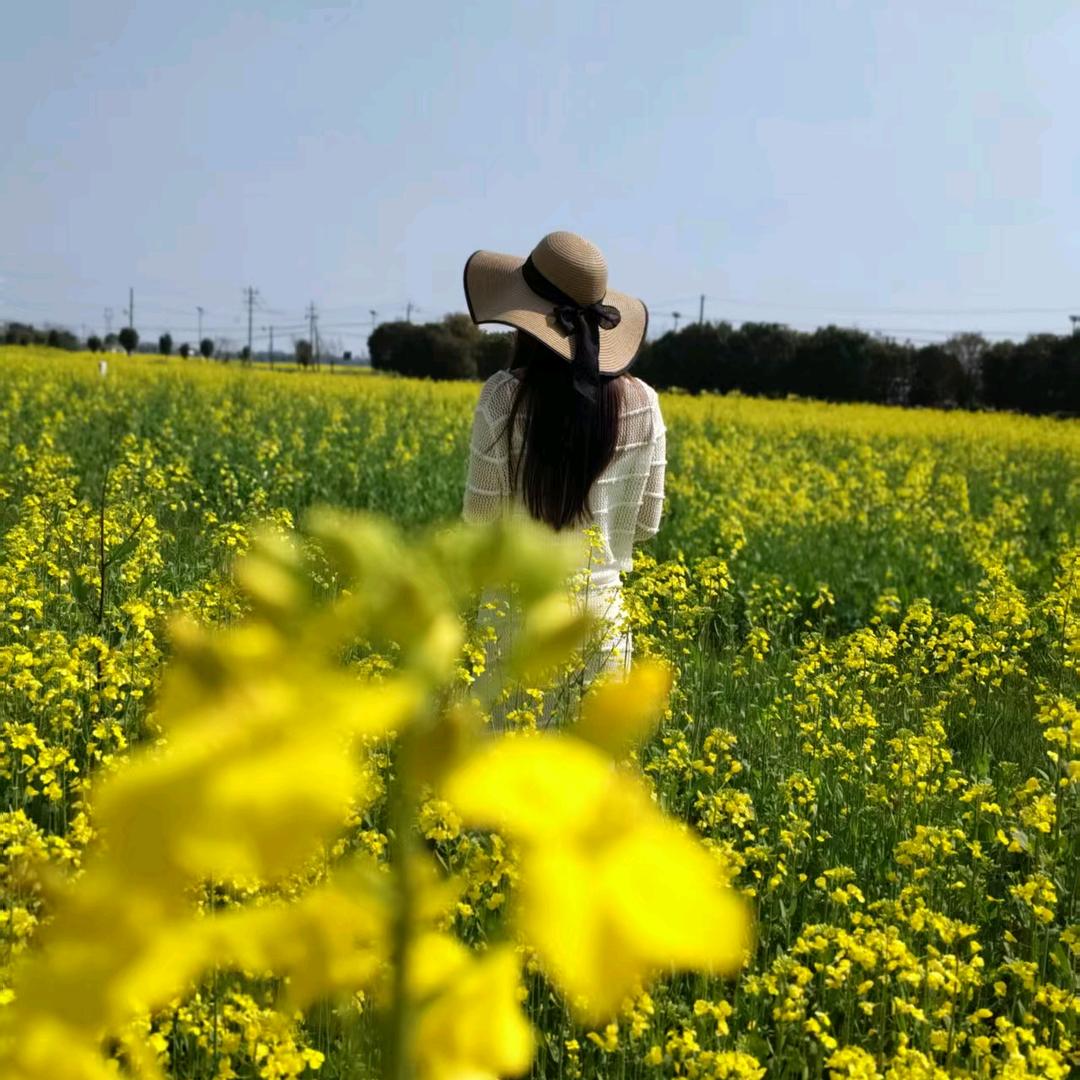 🌈夏夏