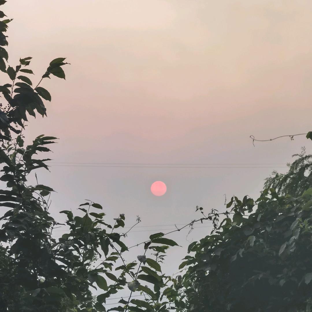 去有风的地方