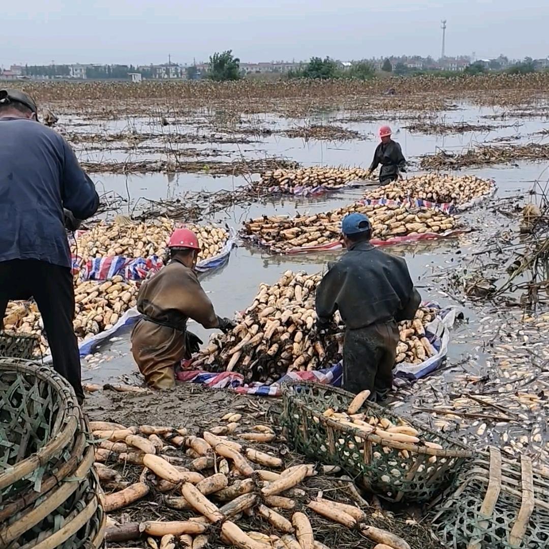 洪湖乐升农副产品店